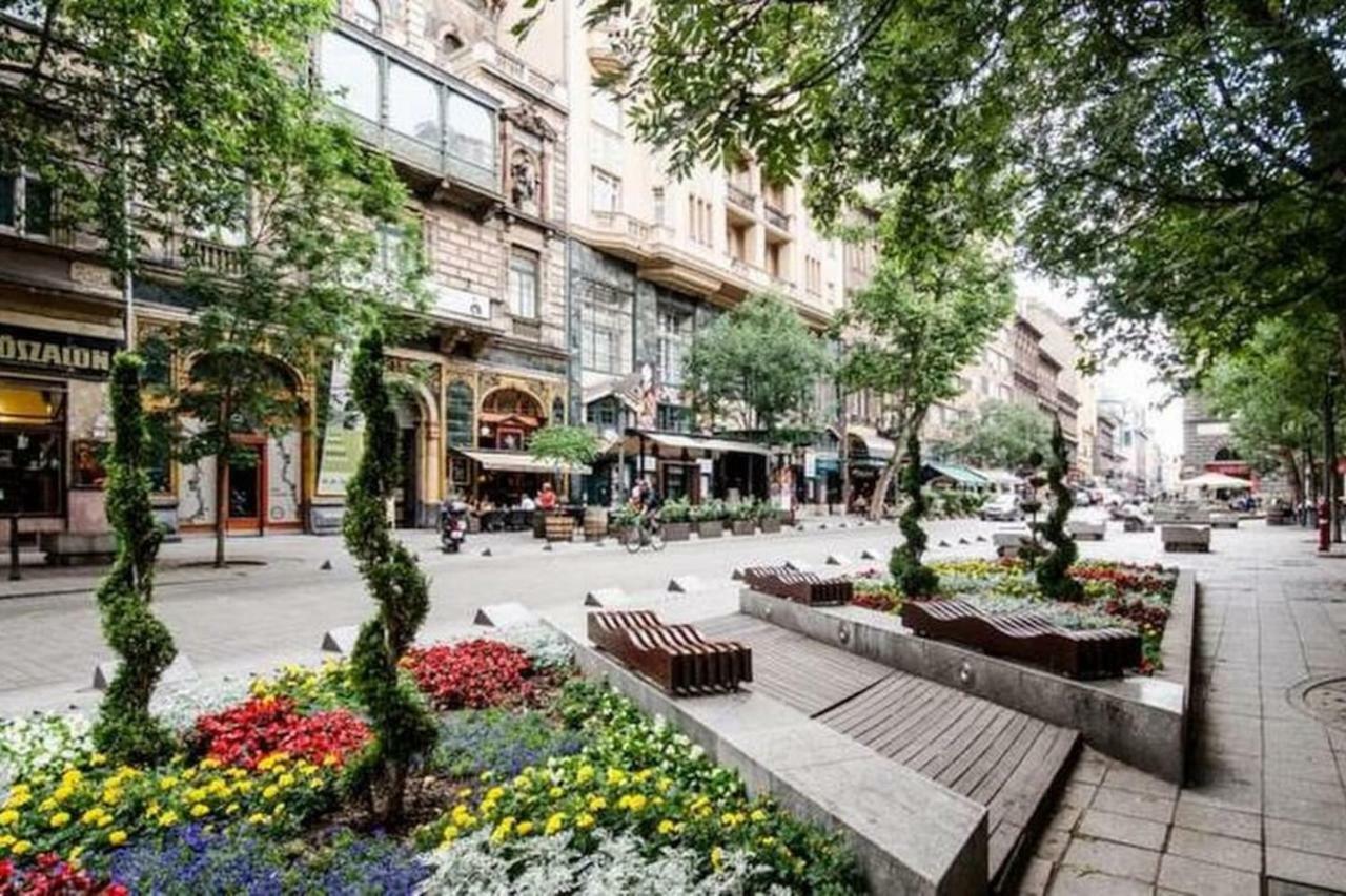 Cozy Downtown Studio Apartment Budapeşte Dış mekan fotoğraf